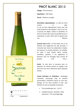 PINOT BLANC 2013
