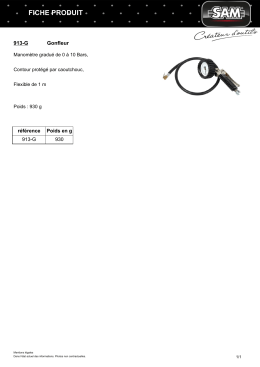 Fiche produit 913-G