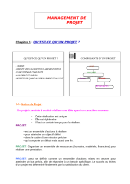 management du projet
