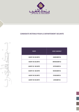 BAM - Agent de s&eacute;curit&eacute; DS