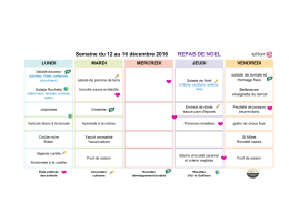 DIPA - NOV-DEC 16 - SQFG.xlsx