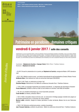 Patrimoine en paradoxes : domaines critiques