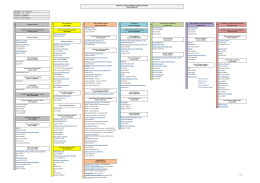 L`Organigramme