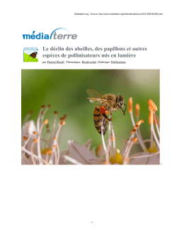 Le déclin des abeilles, des papillons et autres espèces