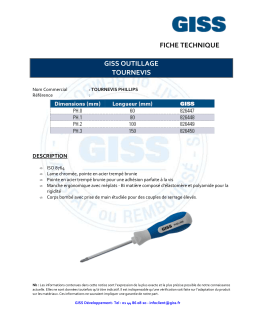 826446 FT GISS Tournevis PH