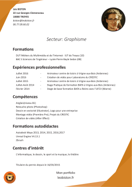 mon CV