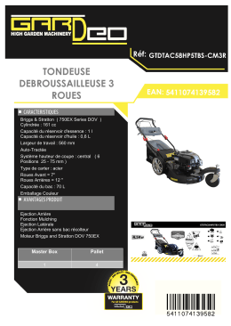 TONDEUSE DEBROUSSAILLEUSE 3 ROUES