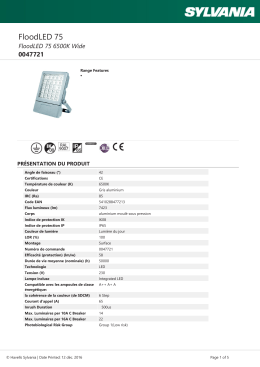 FloodLED 75 6500K Wide