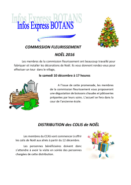 COMMISSION FLEURISSEMENT NOËL 2016 DISTRIBUTION des