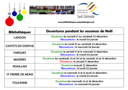 horaires fêtes de fin d`année 2016 accueil public