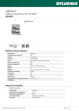 Sylflood 2 Asymétrique HSI