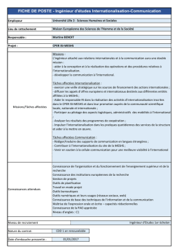 Ing&eacute;nieur d`&eacute;tudes Internationalisation-Communication