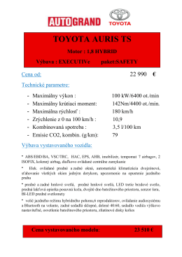 toyota auris ts - Toyota AUTOGRAND