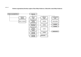Organizačná štruktúra orgánov obce a obecného
