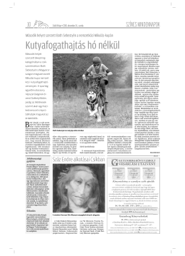 Let&ouml;lt&eacute;s csh[10]