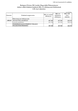 I-IX. hó beszámoló 6b melléklete