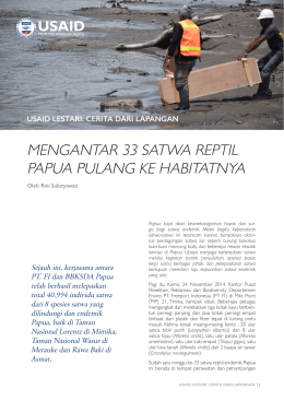 mengantar 33 satwa reptil papua pulang ke habitatnya