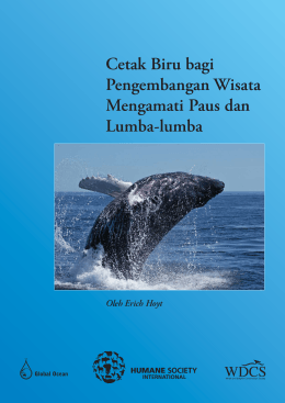 Cetak Biru bagi Pengembangan Wisata Mengamati Paus dan