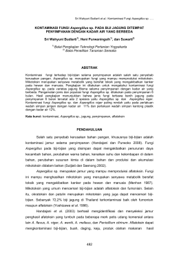 Aspergillus - Balitsereal