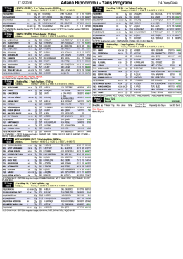 Özet PDF Programı