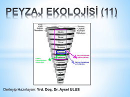 2016-2017 PEYZAJ EKOLOJISI_7. Hafta_Peyzaj Mimarlığı