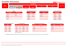 Analitik Görünüm