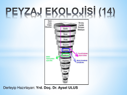 2016-2017 PEYZAJ EKOLOJISI_10. Hafta_Peyzaj Mimarlığı