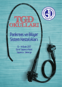 13 Ocak 2017