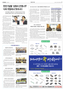 천연기념물 `성동리 은행나무` 낙뢰 위험에서 벗어나다