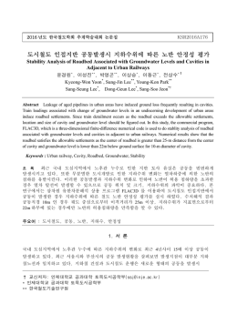 도시철도 인접지반 공동발생시 지하수위에 따른 노반