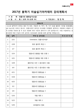 년 봄학기 미술실기아카데미 강의계획서 2017