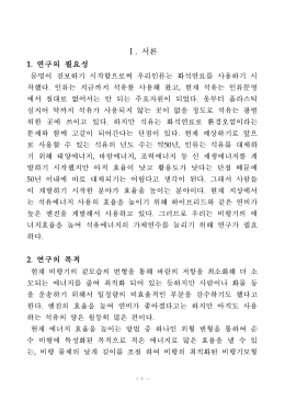 Ⅰ. 서론