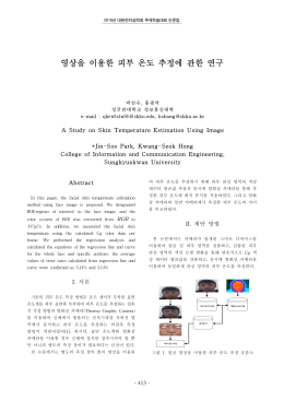 영상을 이용한 피부 온도 추정에 관한 연구