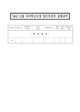 `16년 11월 자격혁신국장 업무추진비 집행내역