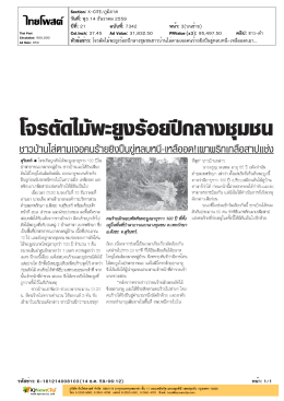 โจรตัดไม้พะยูงร้อยปีกลางชุมชน