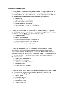 Pretest: Musculoskeletal system 1. A female newborn was brought to