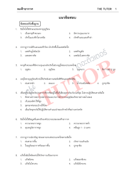 ลมฟ้าอากาศ - The Tutor