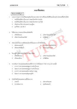 บรรยากาศ - The Tutor