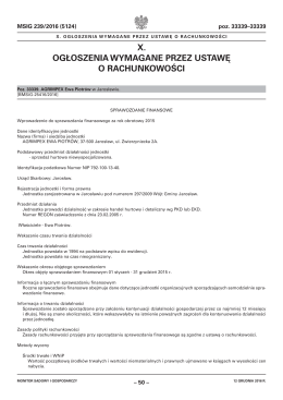 Sprawozdanie finansowe  - Internetowy Monitor Sądowy i