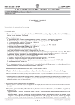 Sprawozdanie finansowe  - Internetowy Monitor Sądowy i