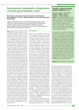 Zastosowanie endoskopii w diagnostyce i leczeniu guza tchawicy u