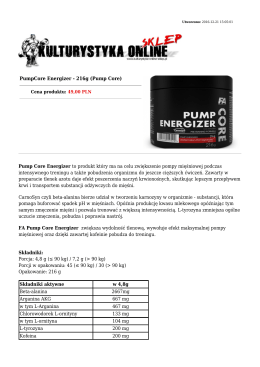 PumpCore Energizer - 216g (Pump Core) Pump Core Energizer to