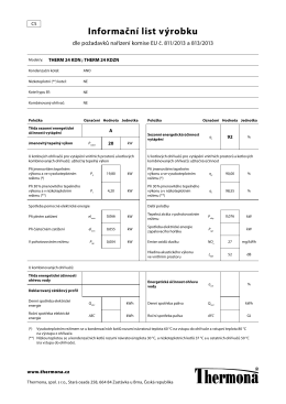 therm 24 kdzn