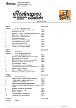 st&aacute;hnout jako PDF (19.12.2016