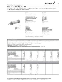 Vérin à tirant ISO 15552, Série TRB