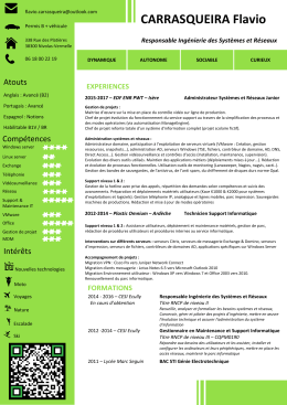 Mon CV en pdf