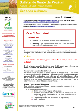 Bulletin de Santé du Végétal du 13 décembre