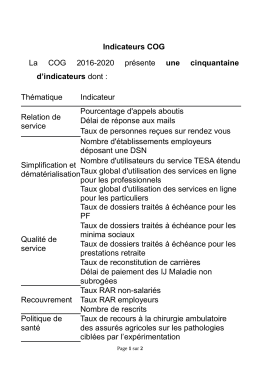 Annexe 6 - Indicateurs COG