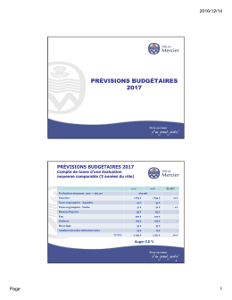 pr&eacute;visions budg&eacute;taires 2017