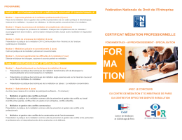 Certificat M&eacute;diation Professionnelle